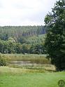 Kellerwald (1)